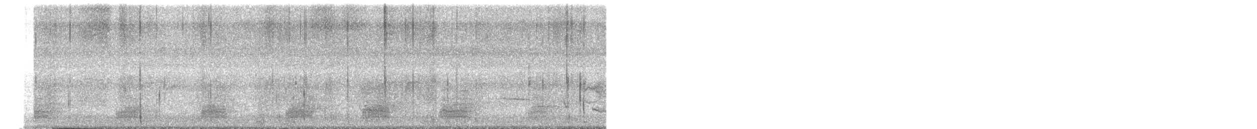 kachna divoká - ML647272042