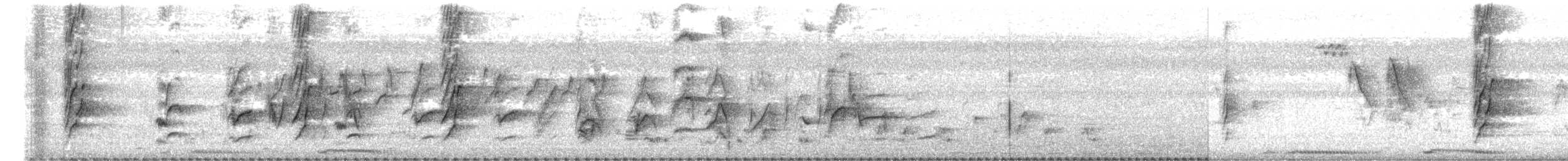 Perruche à tête prune - ML647272584