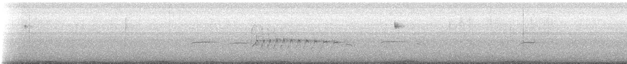 Southern Beardless-Tyrannulet - ML647272734