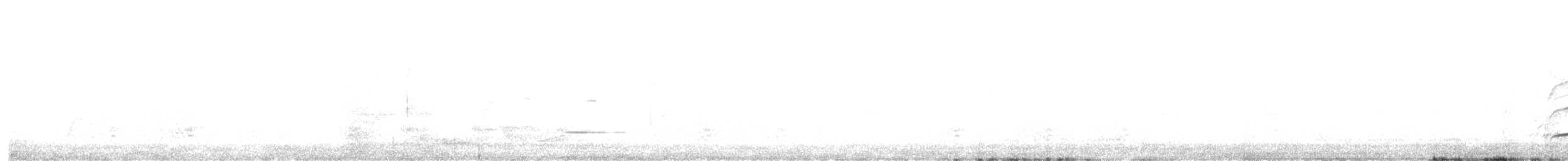 Yellow-tailed Black-Cockatoo - ML647272797