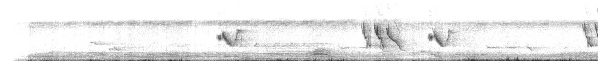 skjæreerle - ML647273092