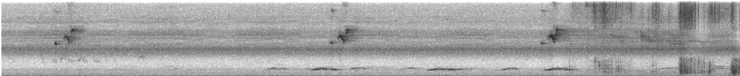 Mistletoebird - ML647273241