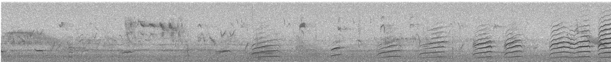 Australian Magpie - ML647273807