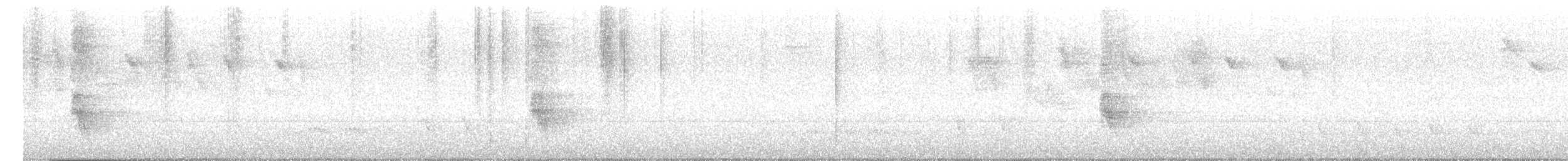 Tropical Mockingbird - ML647273920