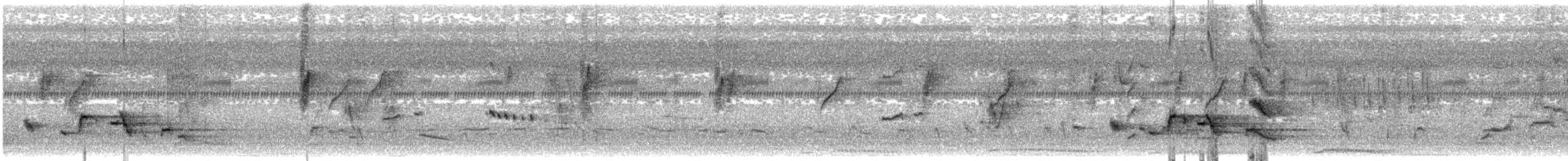 Red-whiskered Bulbul - ML647274071