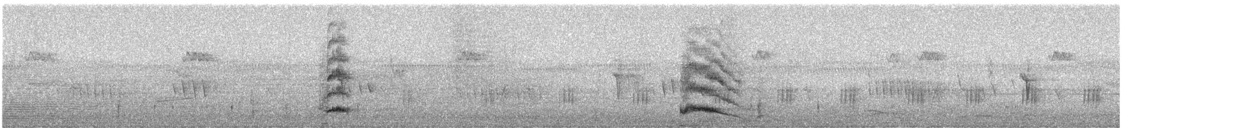 Australasian Swamphen - ML647274314