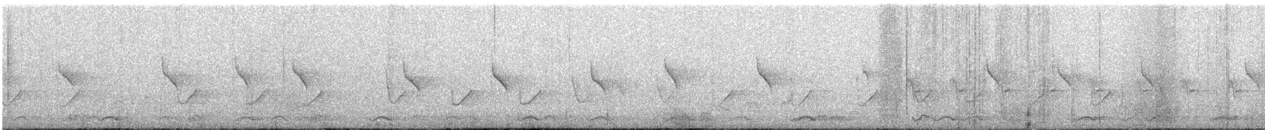 Pallas's Leaf Warbler - ML647274415