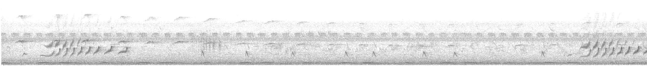 Common Woodshrike - ML647274604