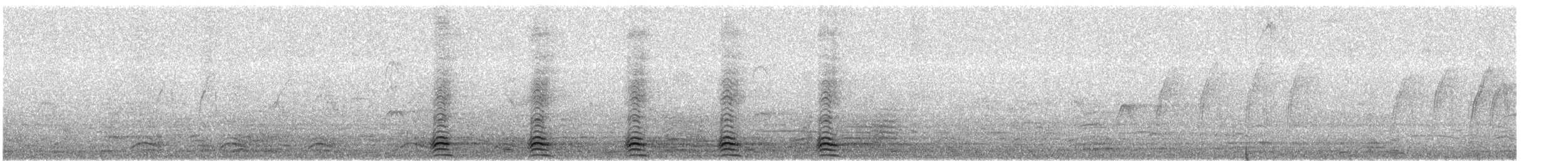 Large-billed Crow - ML647275086