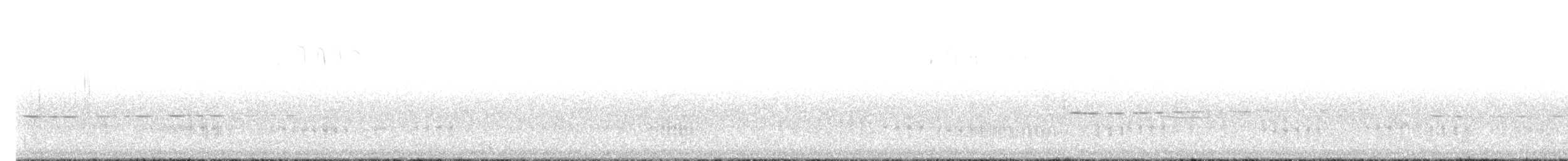 キジインコ - ML647275592