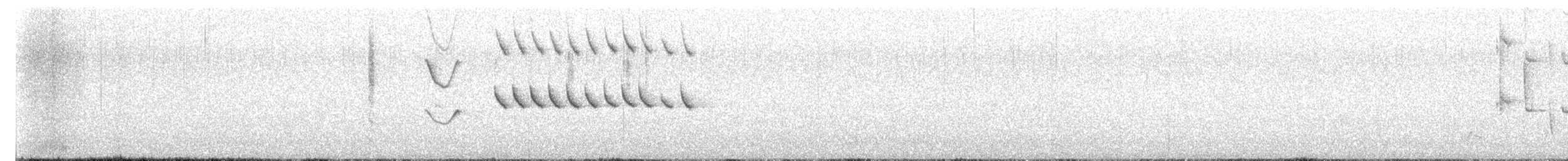 タスマニアトゲハシムシクイ - ML647275639