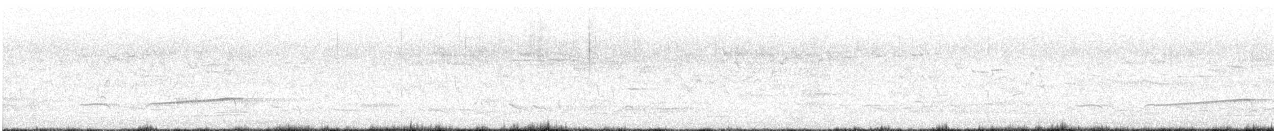 Tasmanienwachtel - ML647275825