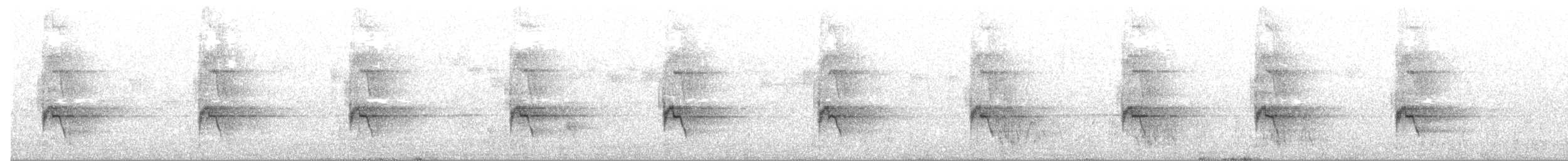 アカビタイキクサインコ - ML647276004