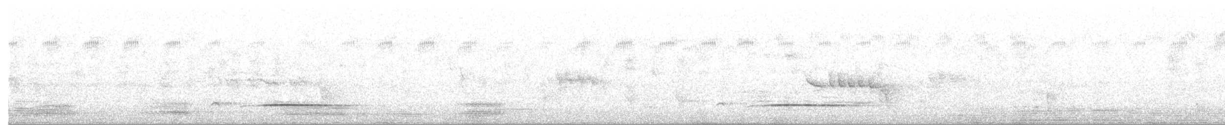 タスマニアヒタキ - ML647276040