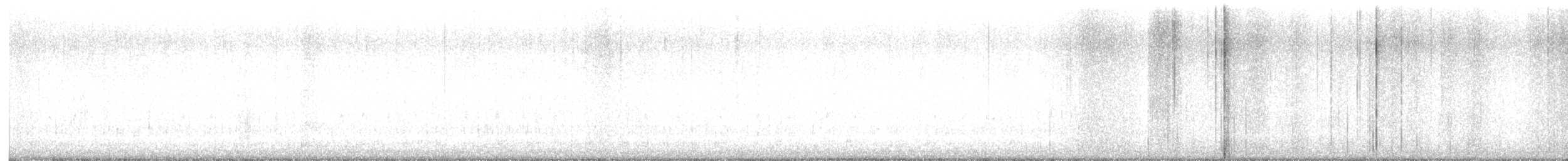 フユミソサザイ - ML647276186