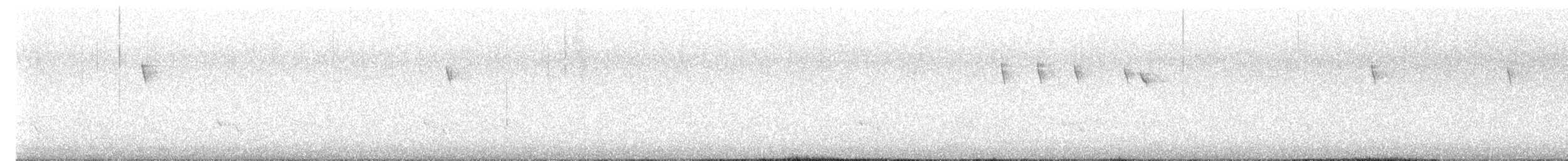 ワカバインコ - ML647276376