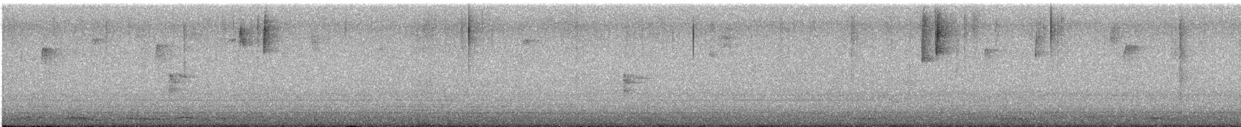 コハクチョウ - ML647276432