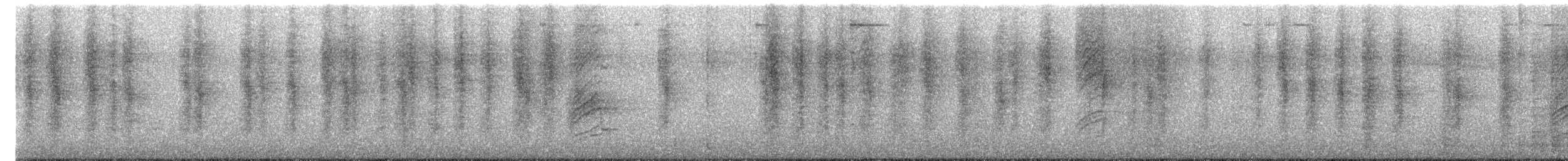 ウスズミモリツバメ - ML647276592