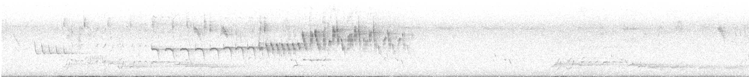 Superb Fairywren - ML647276611