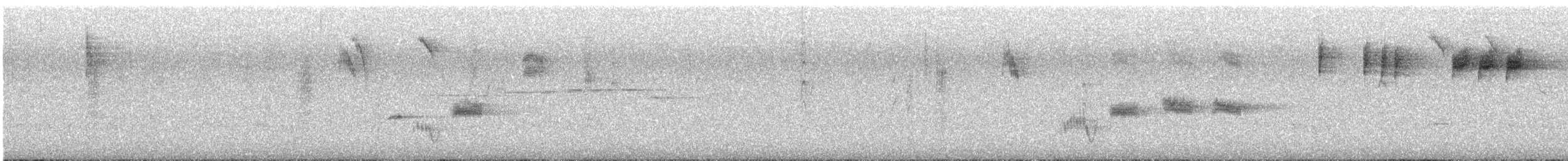 Brown Thornbill - ML647276615