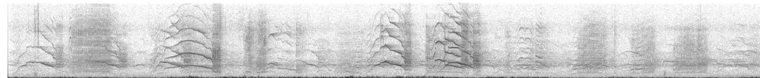 Yellow-tailed Black-Cockatoo - ML647276626