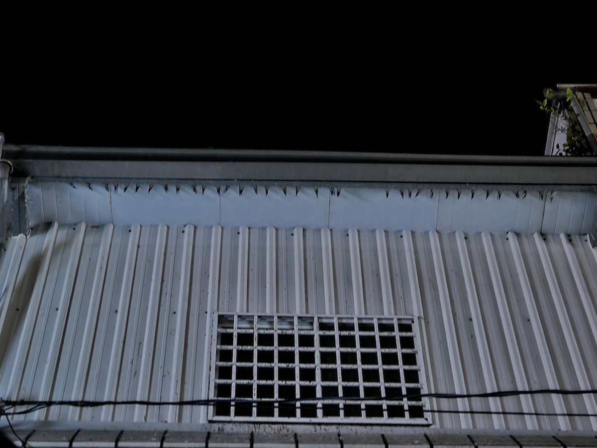 Ластівка сільська - ML647277182