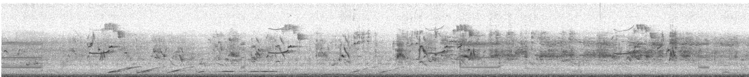 Great Thick-knee - ML647277231