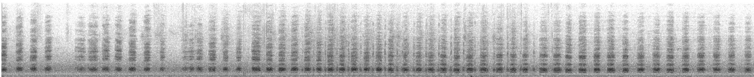 Ganso del Nilo - ML647277319