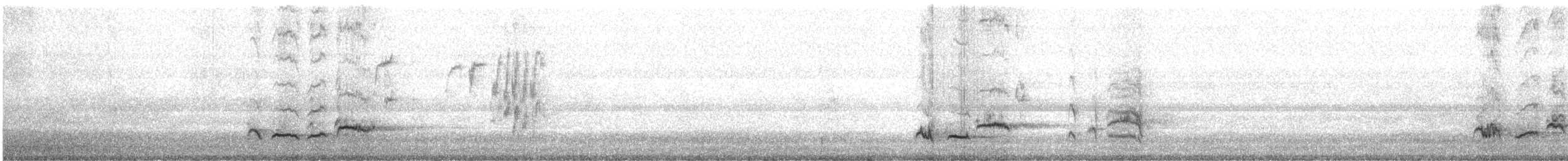 Mirlo Común - ML647277486