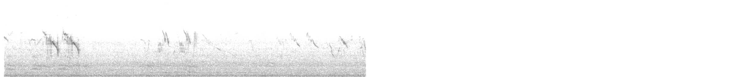 White-browed Wagtail - ML647277866