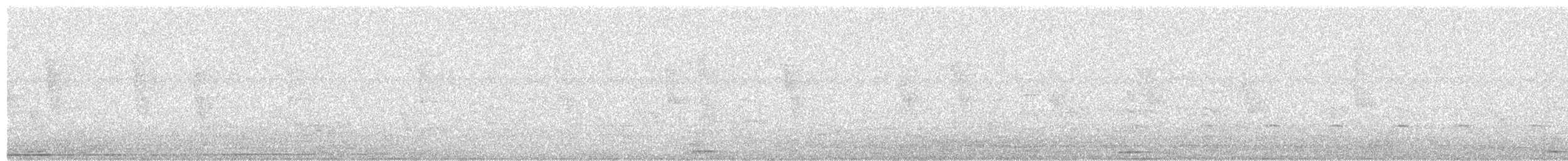 Tinamou tacheté - ML647278494