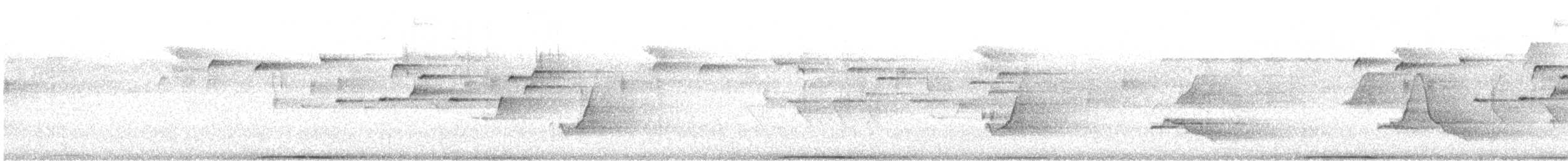 White-headed Pigeon - ML647278876