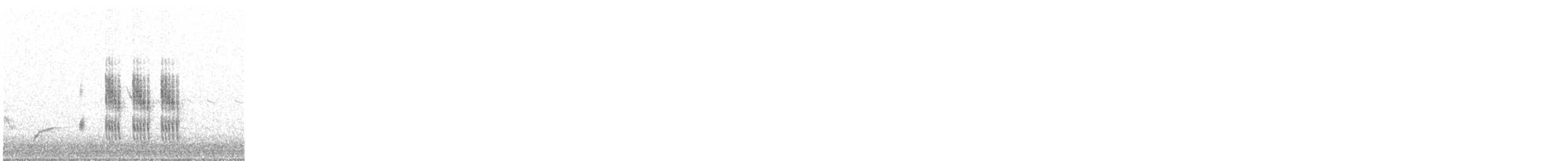 Sardinian Warbler - ML647279404