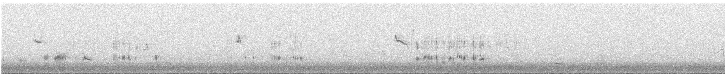 Sardinian Warbler - ML647279406