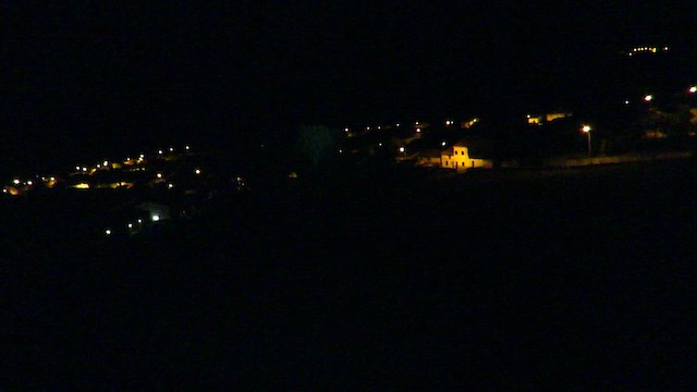 Assiolo - ML647282874