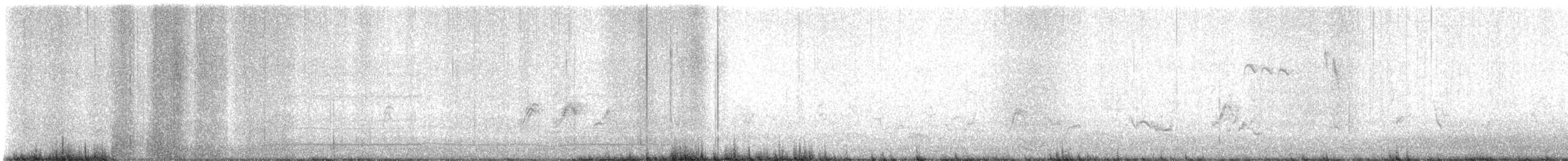 Red-shouldered Hawk - ML647282900