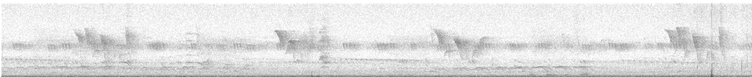 Indian Robin - ML647282904