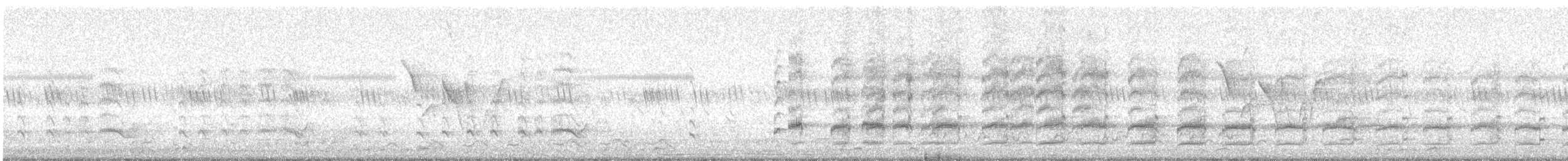 Red-wattled Lapwing - ML647282910