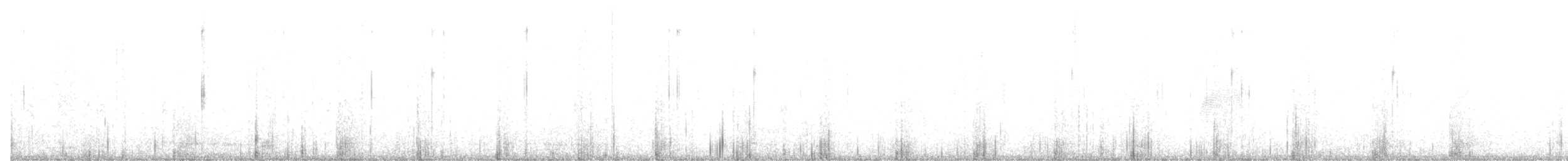 sluka americká - ML647283019