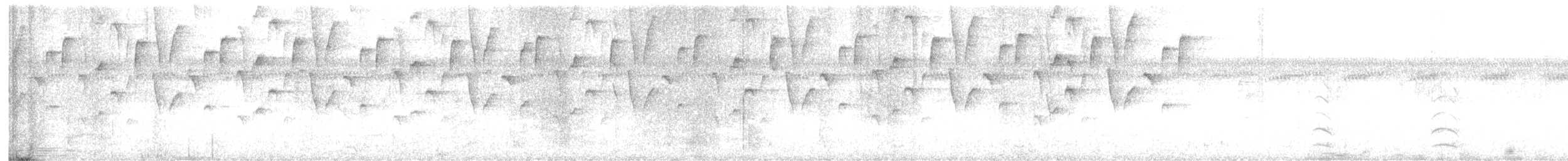 Pearly-breasted Conebill - ML647283580