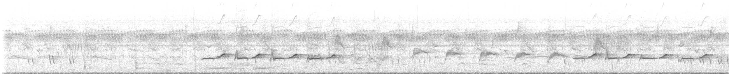 White-browed Scrub-Robin - ML647283971