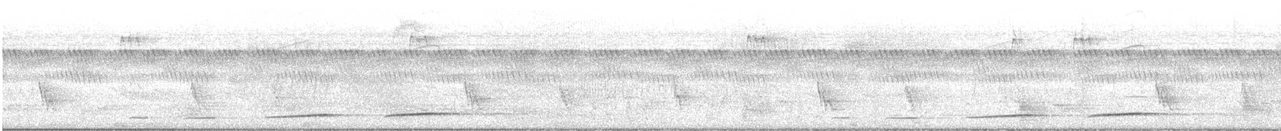 Black Cuckoo - ML647284156