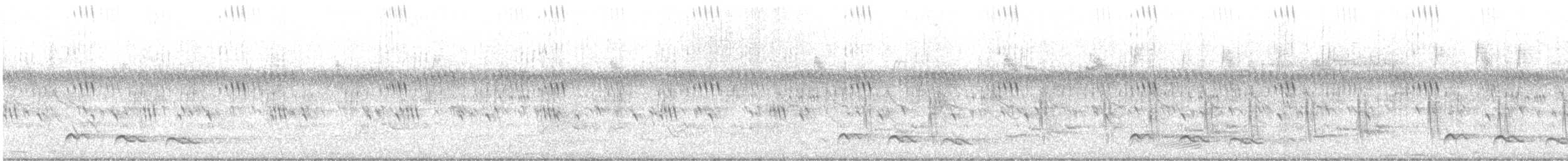 Red-chested Cuckoo - ML647284187