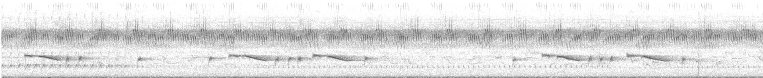 White-browed Scrub-Robin - ML647284228