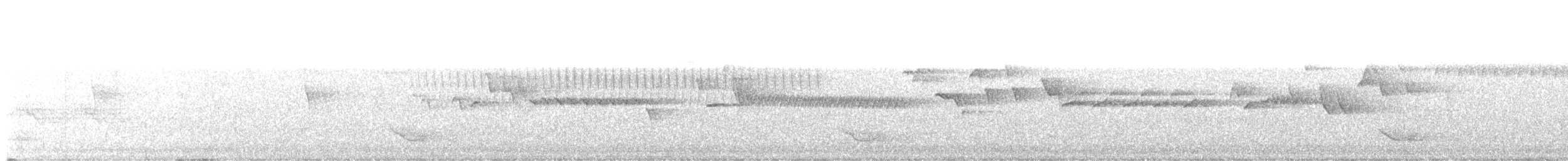 Winter Wren - ML647284343