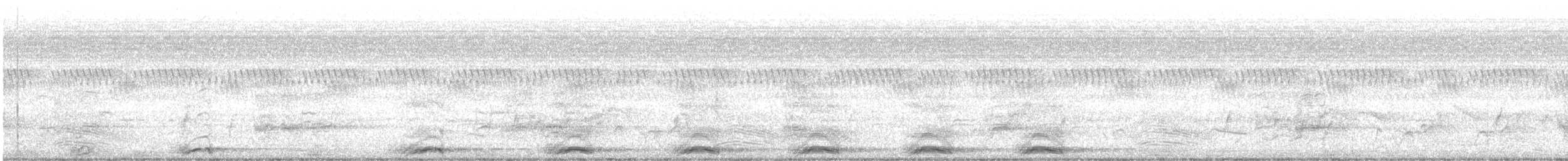 Schalow's Turaco - ML647284376