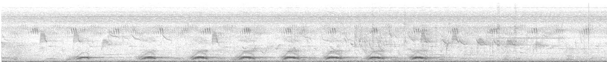 Schalow's Turaco - ML647284377