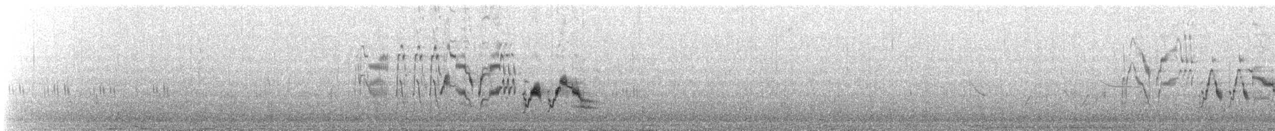 Gray-cheeked Thrush - ML647284411