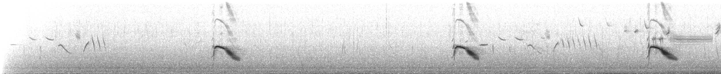 Gray-cheeked Thrush - ML647284447