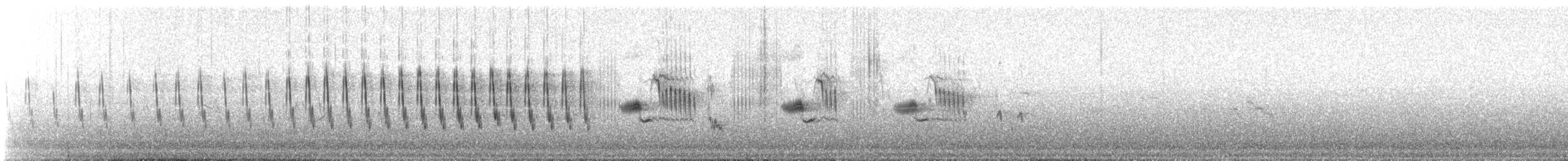 Pettazzurro - ML647284705